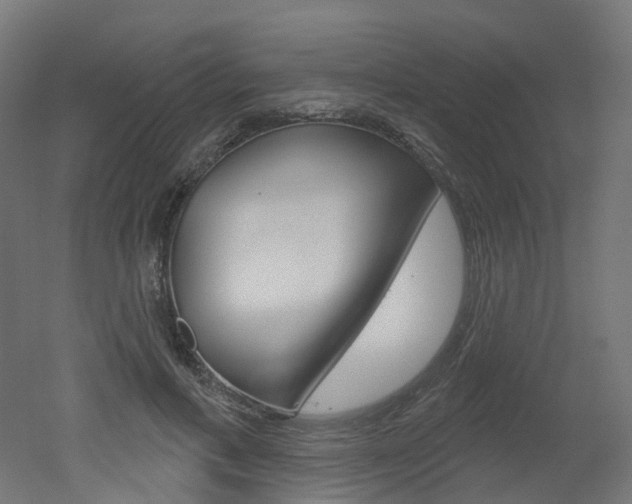 X0000051860597200506241004