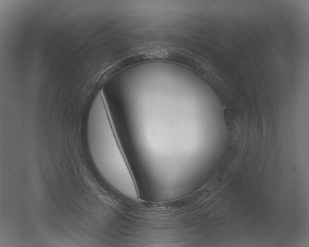 X0000051860600200506241004