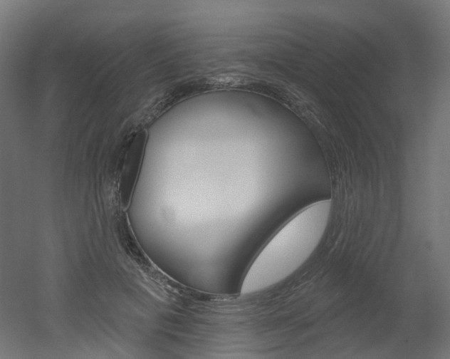 X0000051860601200506241004