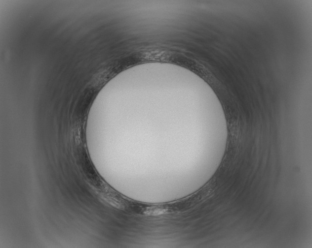 X0000051860602200506241004