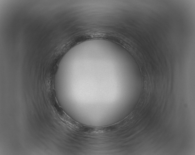 X0000051860604200506241004