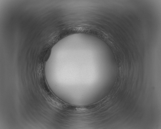 X0000051860605200506241004