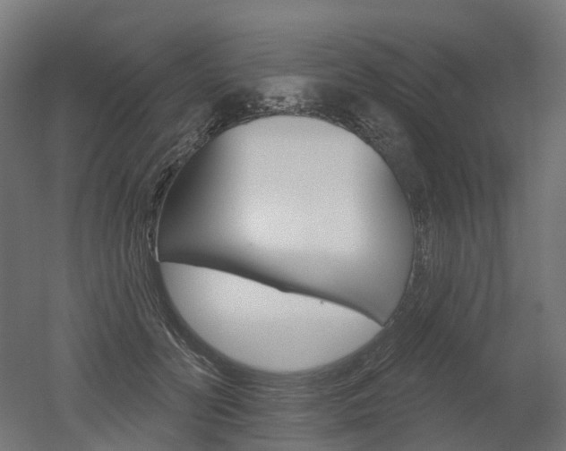 X0000051860606200506241004