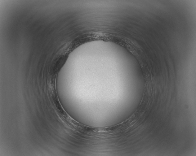 X0000051860607200506241004