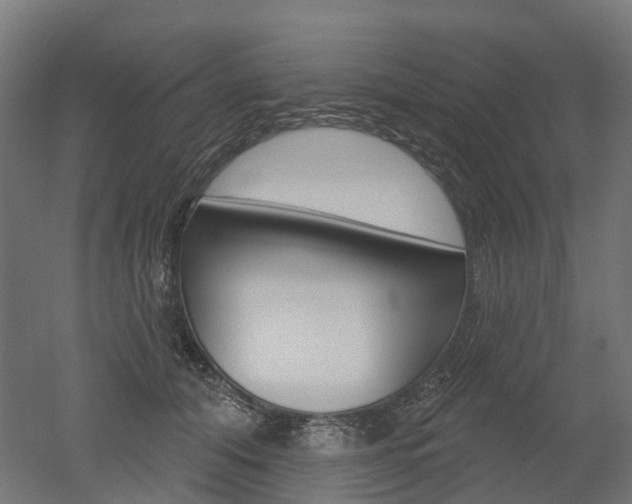X0000051860608200506241004