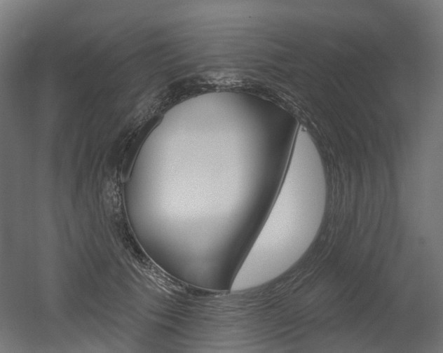 X0000051860609200506241004