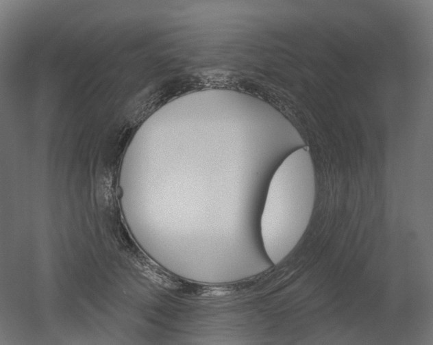 X0000051860610200506241004