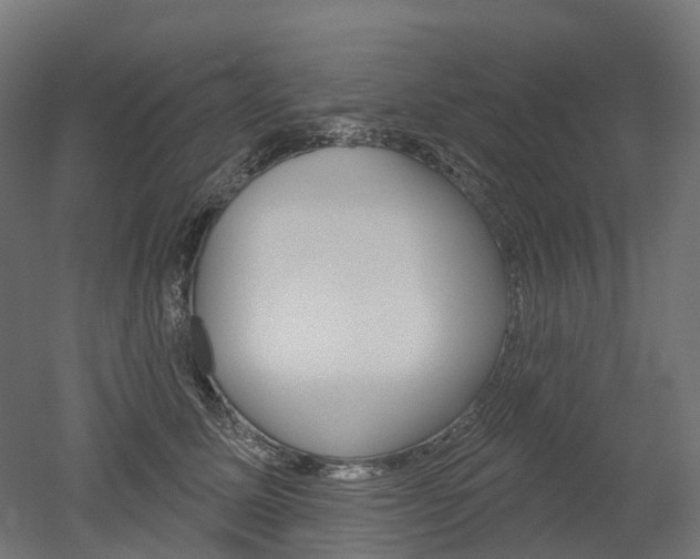 X0000051860611200506241004