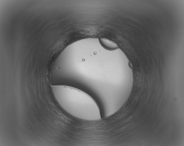X0000051860612200506241004