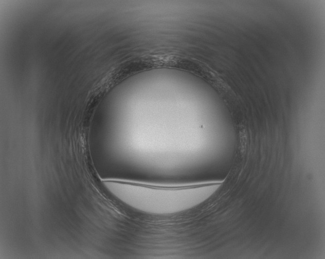 X0000051860613200506241004