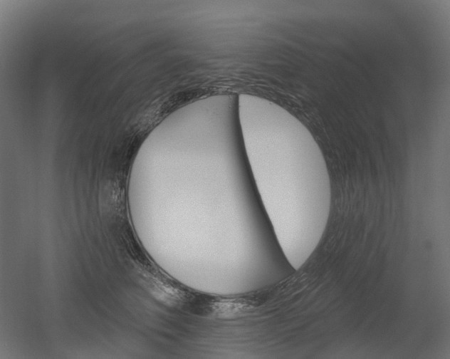 X0000051860614200506241004