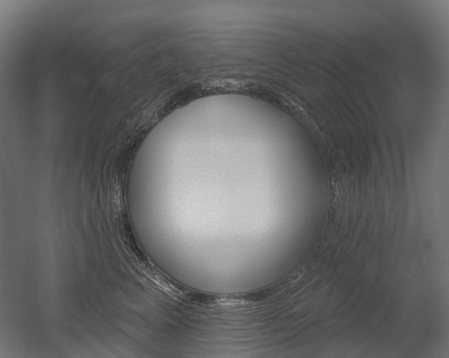 X0000051860617200506241004