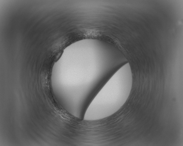X0000051860619200506241004