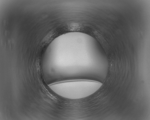 X0000051860620200506241004
