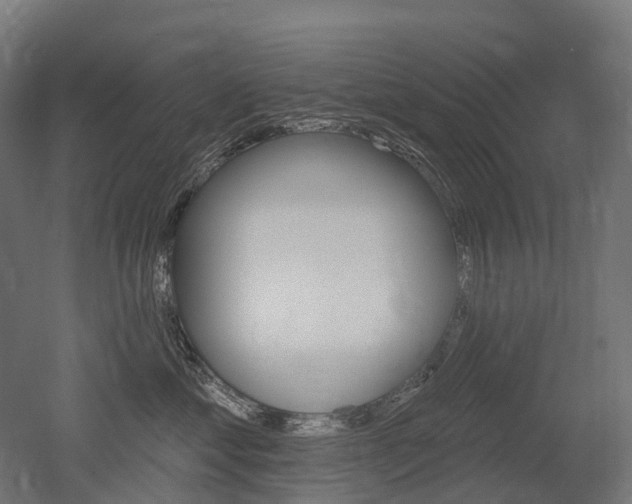 X0000051860621200506241004