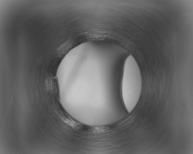 X0000051860623200506241004