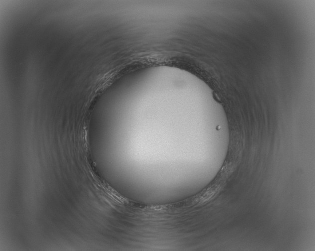X0000051860624200506241004