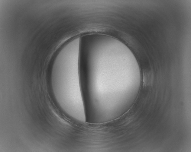 X0000051860627200506241003