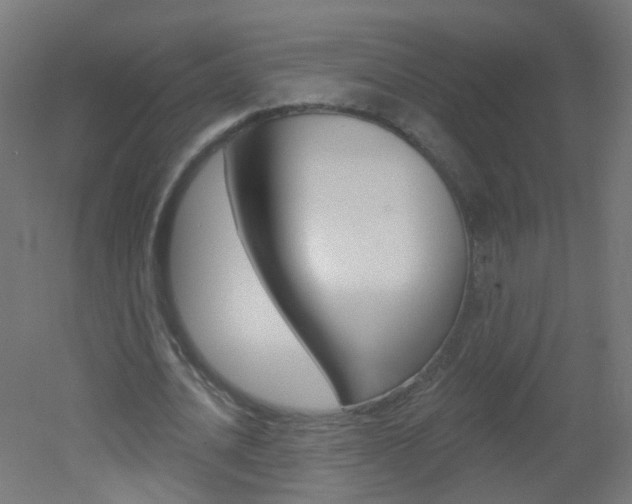 X0000051860628200506241003