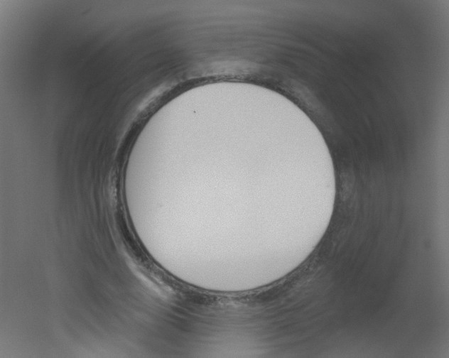 X0000051860632200506241003