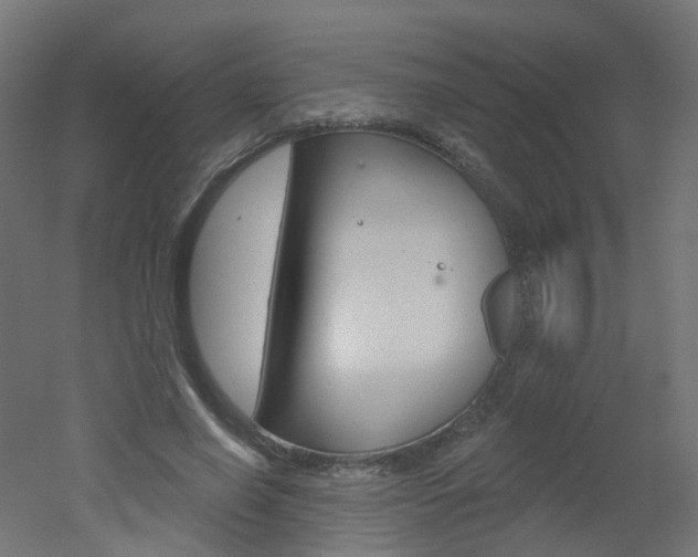 X0000051860638200506241003