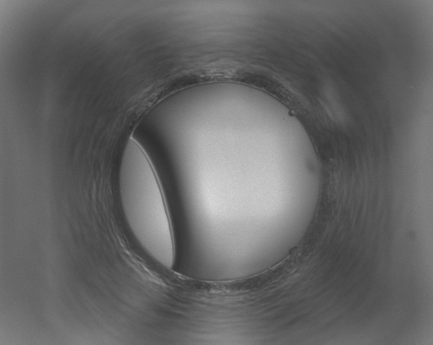 X0000051860641200506241003
