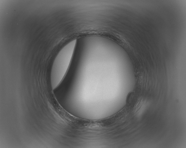 X0000051860643200506241003