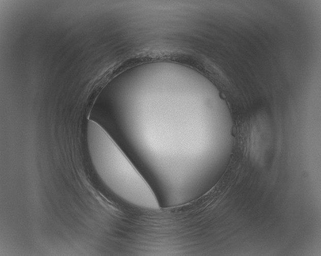X0000051860644200506241003