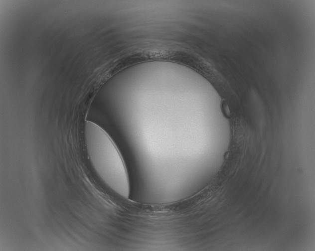 X0000051860645200506241003