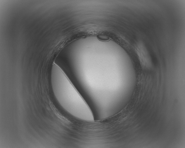 X0000051860646200506241003
