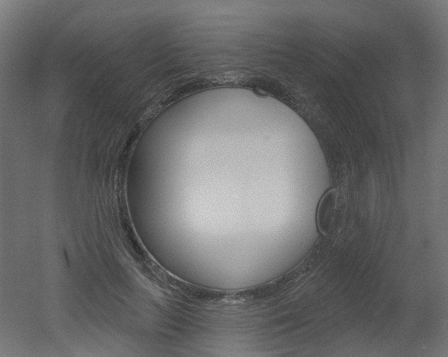 X0000051860647200506241003