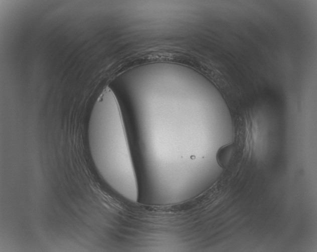 X0000051860649200506241003