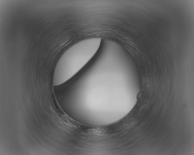 X0000051860652200506241003