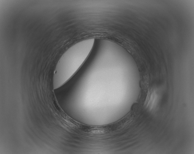 X0000051860653200506241003