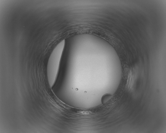 X0000051860654200506241003
