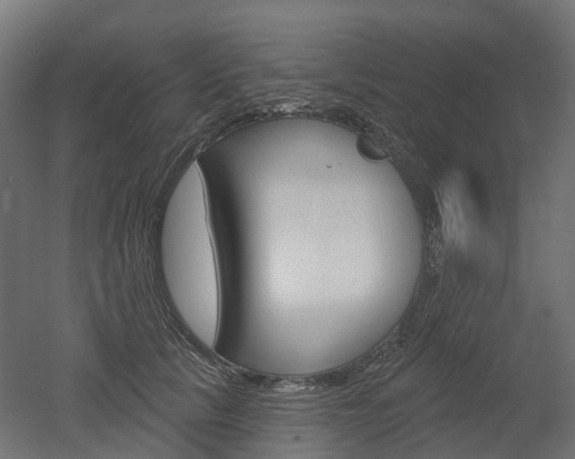 X0000051860657200506241003
