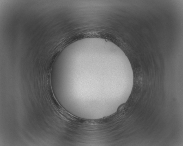 X0000051860658200506241003