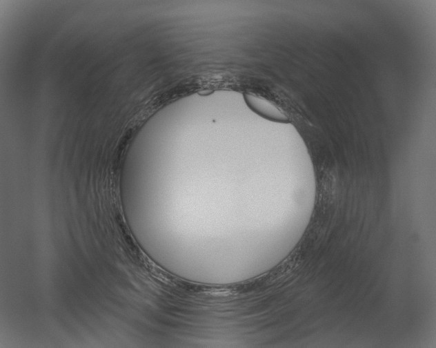 X0000051860659200506241003