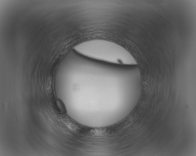 X0000051860660200506241003