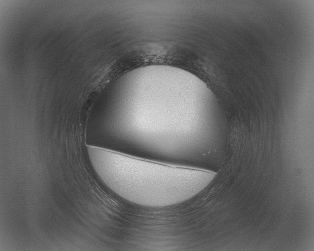 X0000051860661200506241003
