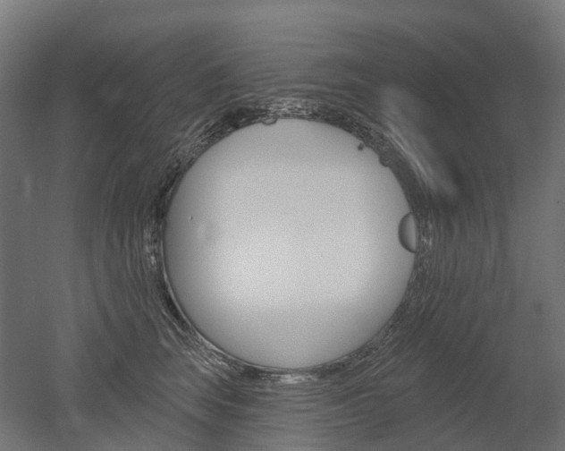 X0000051860663200506241003