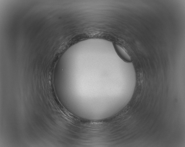 X0000051860664200506241004
