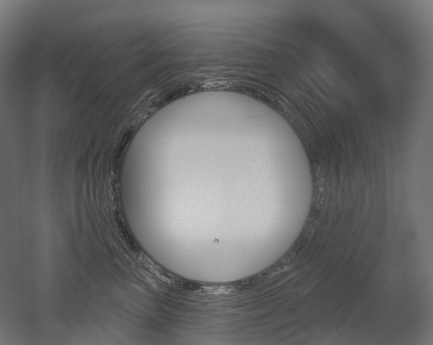 X0000051860667200506241004
