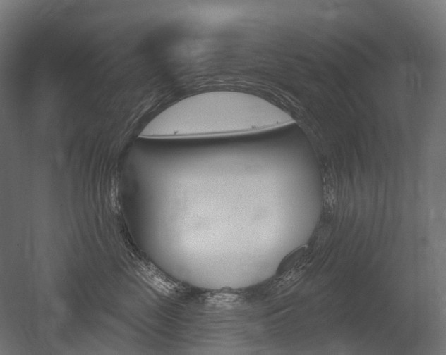 X0000051860669200506241004