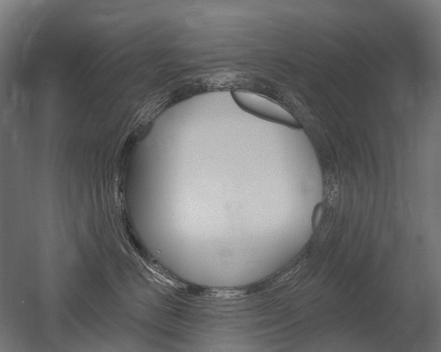 X0000051860670200506241004