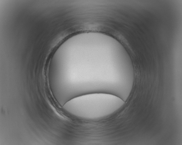 X0000051860674200506241003