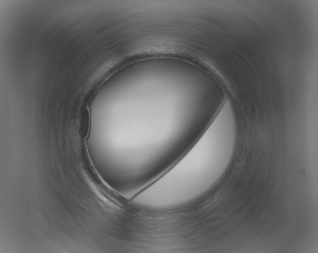 X0000051860677200506241003