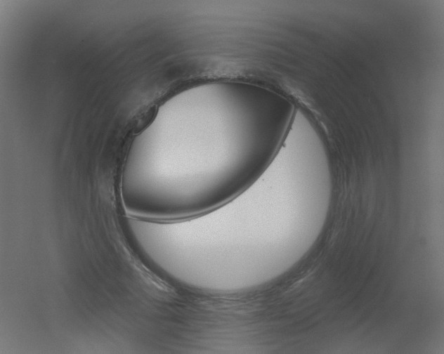 X0000051860681200506241003