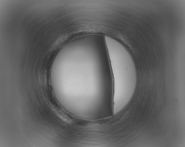 X0000051860685200506241003
