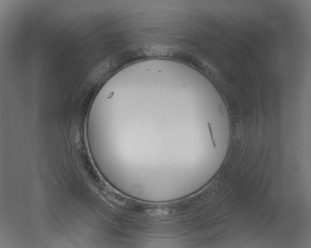 X0000051860687200506241003